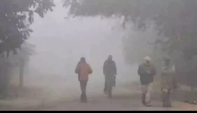 తెలుగు రాష్ట్రాలను వణికిస్తున్న చలి..పలు ప్రాంతాల్లో కమ్మేసిన పొగ మంచు….