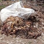 నిద్రలో అధికారులు..రోడ్డుపై మాంస వ్యర్థాల రాజ్యం..!చికెన్,మటన్ సెంటర్ల చెత్తతో దుర్వాసన–ప్రమాదాలకు అడ్డాగా మారిన ప్రధాన రహదారి…